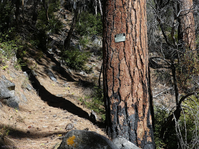 little wilderness sign