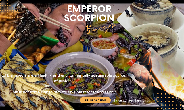 "From Fear Factor to Superfood: The Truth About Scorpions and Your Health"