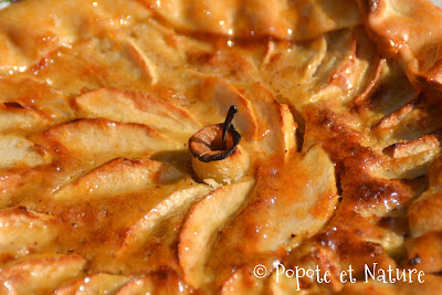 tarte ancienne aux pommes et à la crème de noisettes