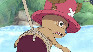 ワンピース アニメ 空島 スカイピア 167話 チョッパー Tony Tony Chopper | ONE PIECE Episode 167 Skypiea