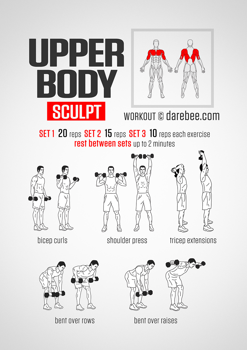 Thermopylae OCR: Weight Workout - Upper Body Weights (Biceps, Shoulders