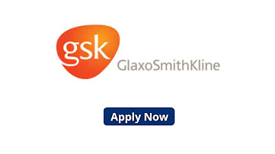 gsk Job 20 November