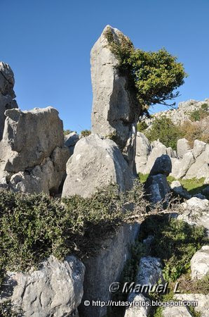 Sierra Alta de Benaocaz