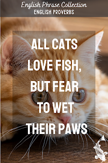 English Phrase Collection | English Proverbs | All cats love fish, but fear to wet their paws