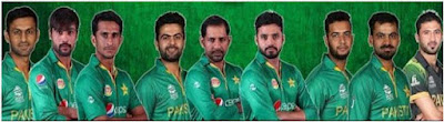 Pakistan Team Player of ICC World Cup 2019