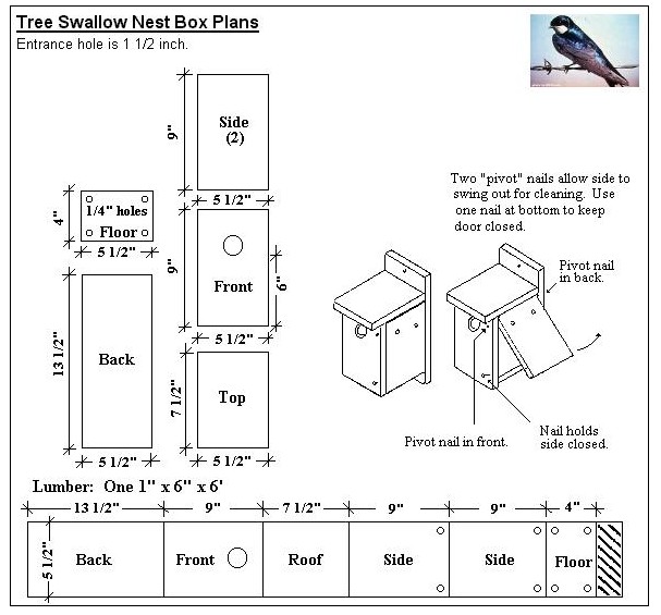 If you and your kids made a nesting box at the Bird Festival for 