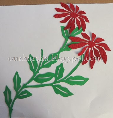 Poinsettia (4)