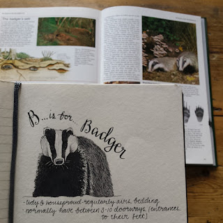 Badger :: www.AliceDrawsTheLine.co.uk