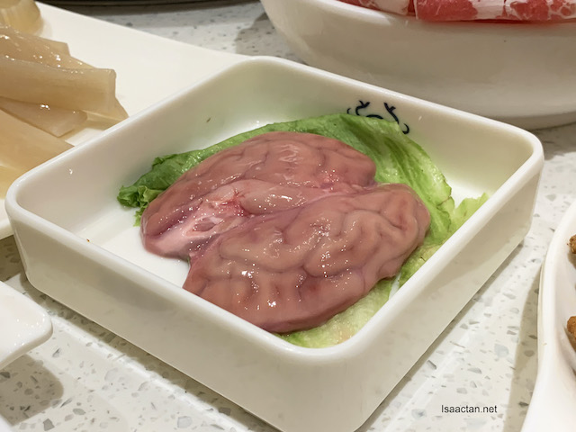 Pig's brain