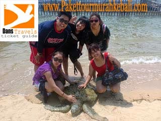  Turtle ISland- Pulau Penyu Watersport Tanjung Benoa