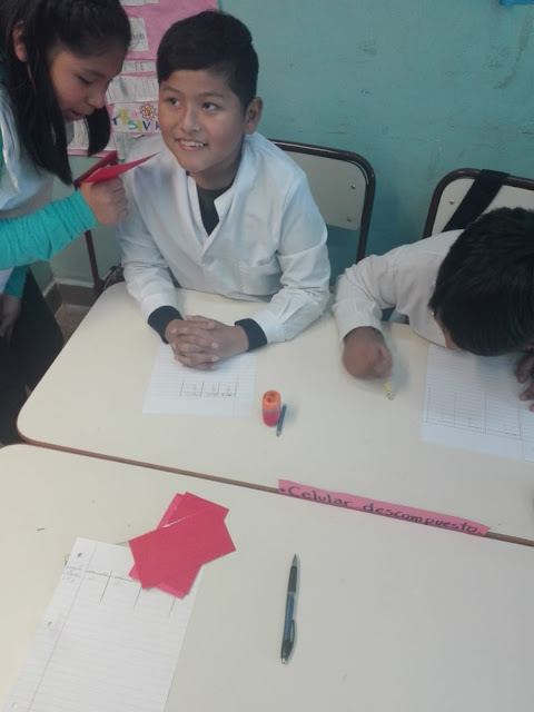 la imagen muestra un alumno entusiasmado con la tarea a realizar