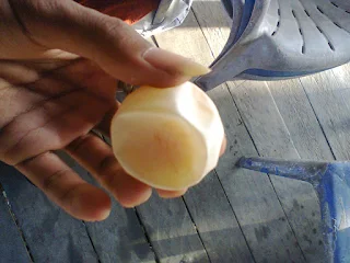 Telur Penyu Rebus atau Boh Punyie