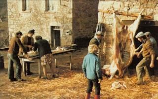 pays basque autrefois agriculture cochon