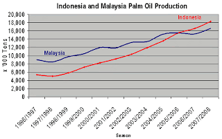 Palm Oil Production Prospects Continue to Grow