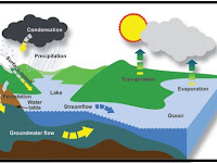 DANAU - LENTIK AQUATIKA