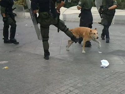 Τα ΜΑΤ χτύπησαν τον Λουκάνικο επειδή τους θύμισε τον Ραν Ταν Πλαν