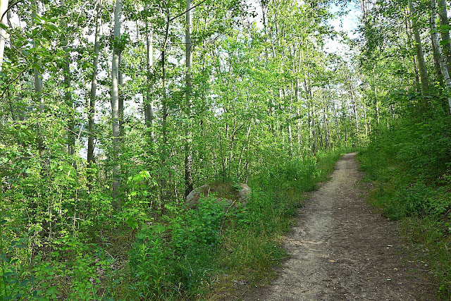 Waldspaziergang Waldbaden im Landkreis Leipzig