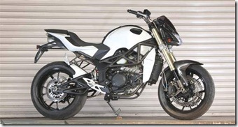 Modification Minerva SACHS Naked 250 White Upside Down
