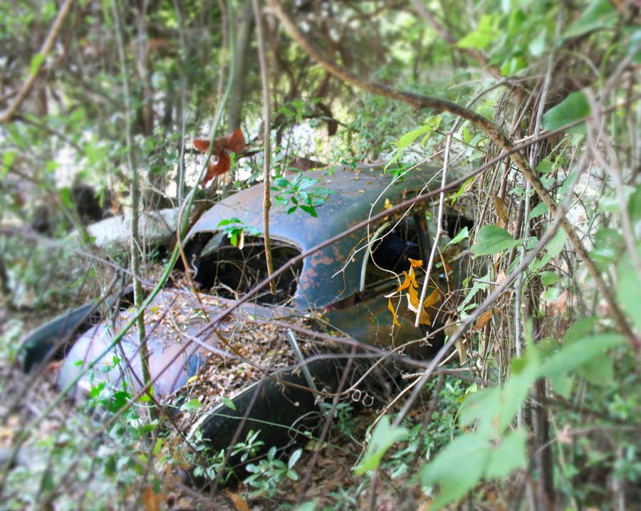 Amazing that one can still stumble upon these forgotten rusted sentinels