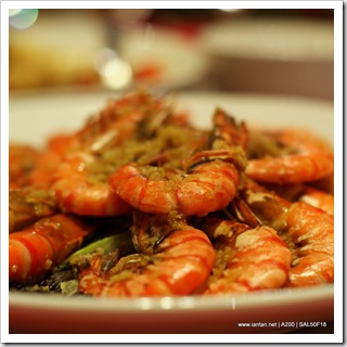 Prawns - 5