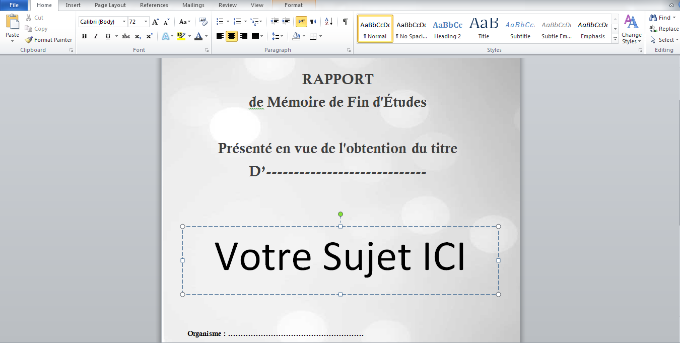 exemple de demande d'emploi pdf   14