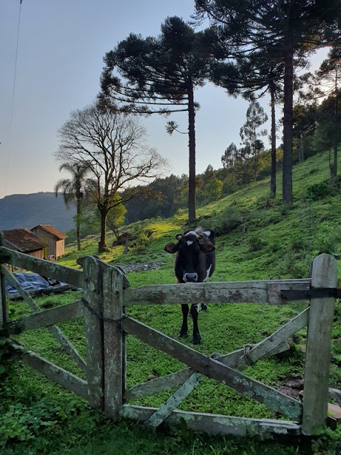 Caminhos de Caravaggio