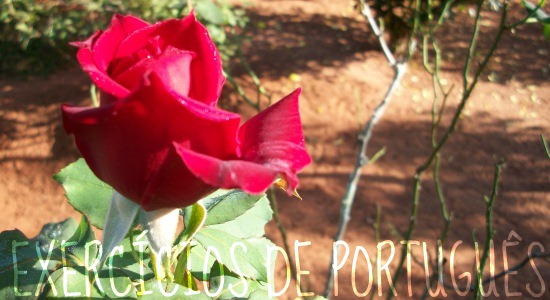 EXERCÍCIO DE INTERPRETAÇÃO DE TEXTO-1