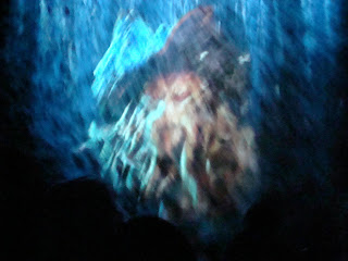 Pirates of the Caribbean Davy Jones Mist Screen Disney World