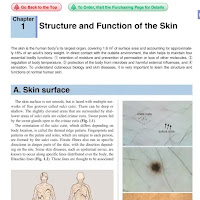 Structure and Function of the Skin PDF | PPT