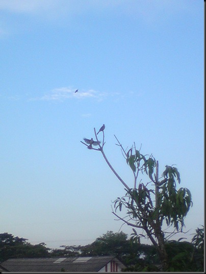 DSC00078