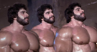 Lou Ferrigno Hercules