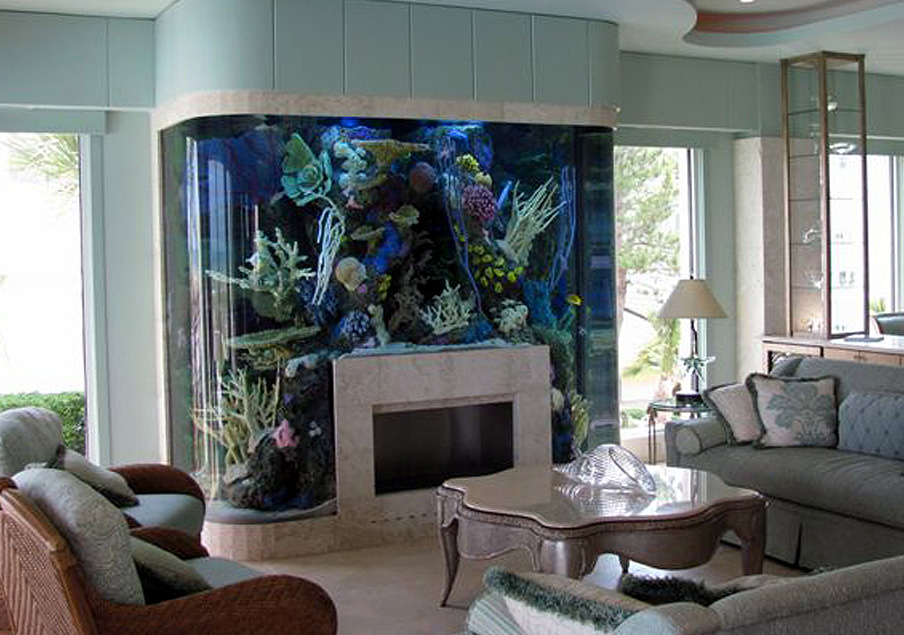 Unique Fish Tanks Aquariums