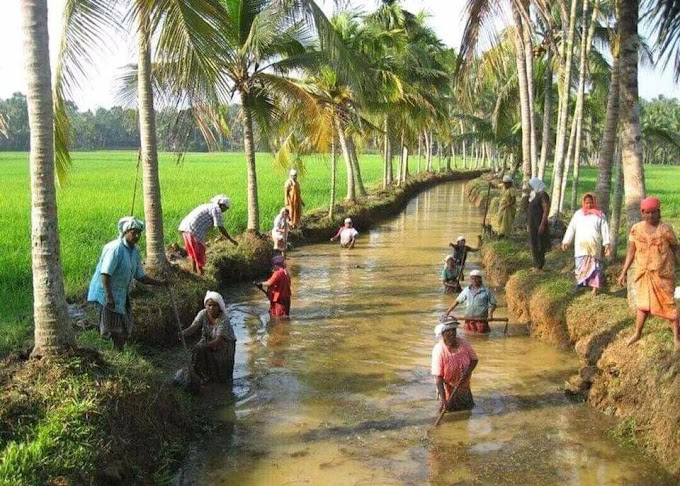 തൊഴിലുറപ്പ്: ഒരുപഞ്ചായത്തിൽ ഒരേസമയം 20 ജോലിയിൽക്കൂടുതൽ അനുവദിക്കരുതെന്ന് കേന്ദ്രം