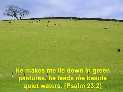 Psalm 23:2 Bible Verse