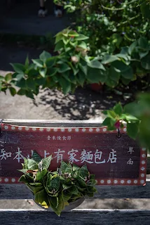 台東太麻里下雨景點|林道咖啡|知本山上有家麵包店|品咖啡手做麵包|在地推薦