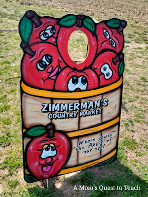 Zimmerman Family Farm Apple basket photo-op