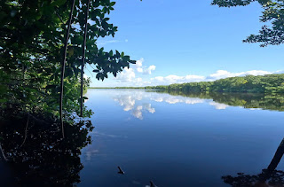 Crónica del Día Internacional de los Humedales en el ANP estatal Laguna Manatí, Cancún México.