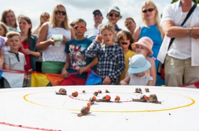 Snail Racing World Championships in England