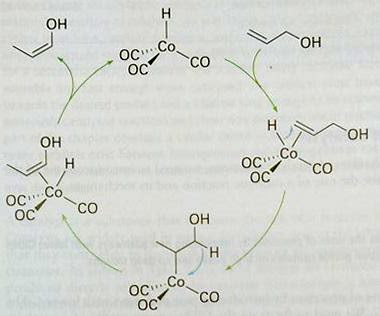 catalytic cycle of isomerization reaction