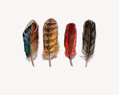  country feathers print by jodyvanb on etsy