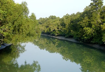 A river at Sundarban, Bangladesh