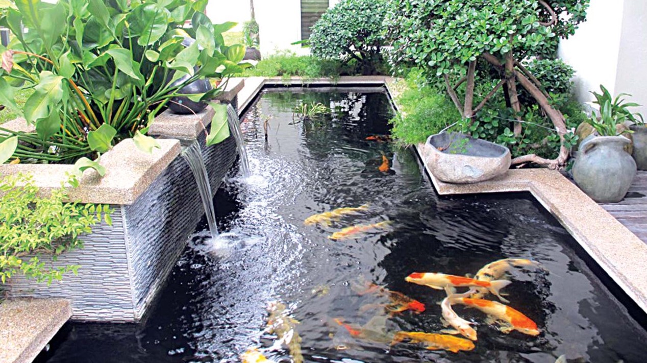 Desain kolam ikan minimalis, kolam ikan mewah, beton, kolam ikan koi, kolam ikan aesthetic, beton, kaca, kolam ikan dalam ruang dan luar ruangan