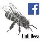 Hull Bees FaceBook Page