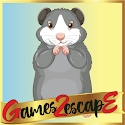 G2E Cute Guinea Pig Rescue