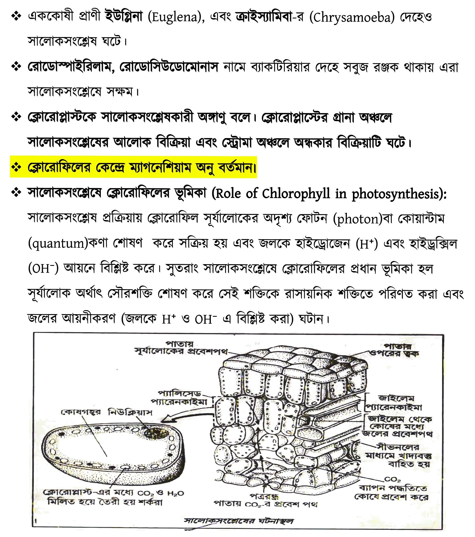 Life Science Complete Syallabus Study Material - WBCS Notebook