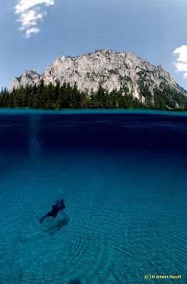 Beautiful Underwater Meadow