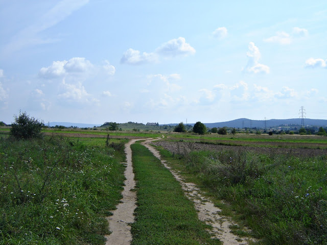 Zagórze łąki