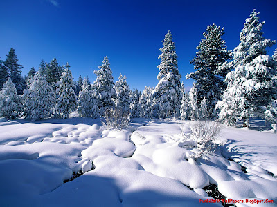 Winter Wallpapers HD Free