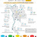 สถานการณ์คุณภาพอากาศ ณ วันอาทิตย์ที่ 18 เมษายน 2564