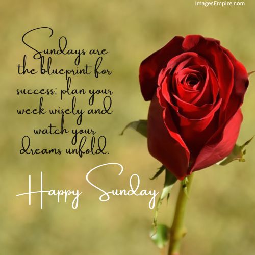 Happy Sunday Blessings with Red Rose